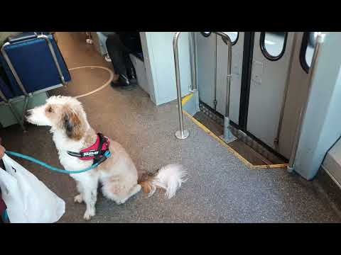 Bahnhof Zürich Enge tram Station