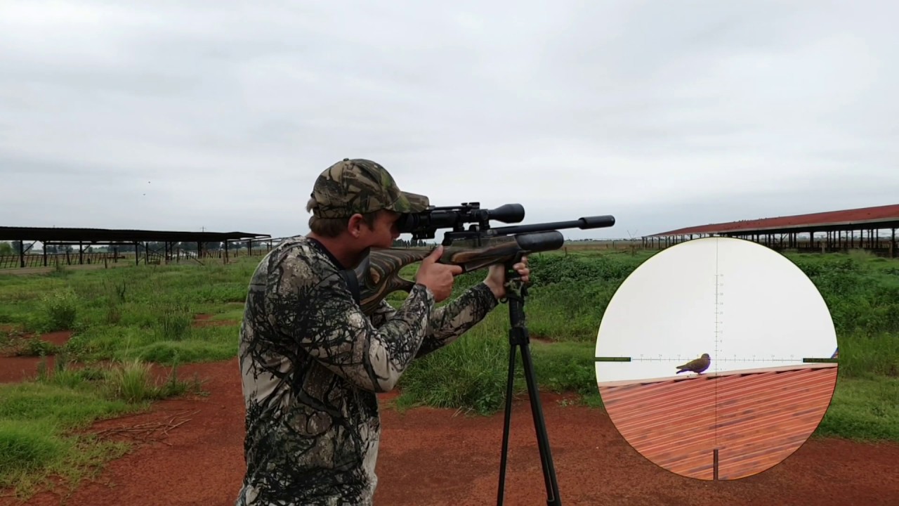 DAYSTATE WOLVERINE R