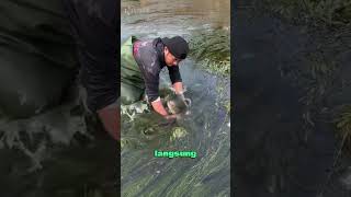 Download lagu Cara Efektif Menangkap Ikan 🐟 mp3 Download lagu Cara Efektif Menangkap Ikan 🐟 mp3