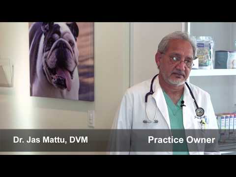 Vet Emeryville Ca