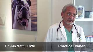 Welcome to University Veterinary Hospital