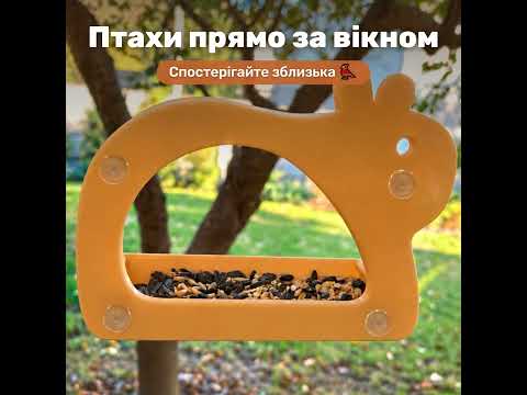 Кормушка для птиц на окно Капибара с крышей и НАДЕЖНЫМ креплением - фото 1 - id-p3254694863