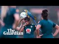 Parrot Lands On Head Of Brazilian Footballer During Practice Match