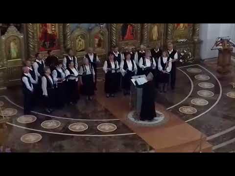 Corul „Anastasia”, al Parohiei Bozovici, Protopopiatul Băile Herculane