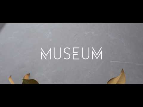 Видеообзор