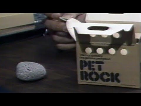 Pet Rocks 1975 news footage