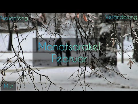 Monatsorakel: Februar 2020