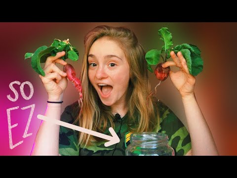 I grew these hydroponic RADISHES in MASON JARS!