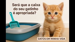 “Are You Using the Right Litter Box for Your Kitten? 🚫🐾 Find Out Now!”