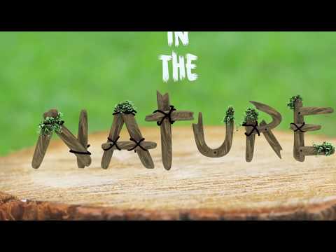 Festival in The Nature 2017