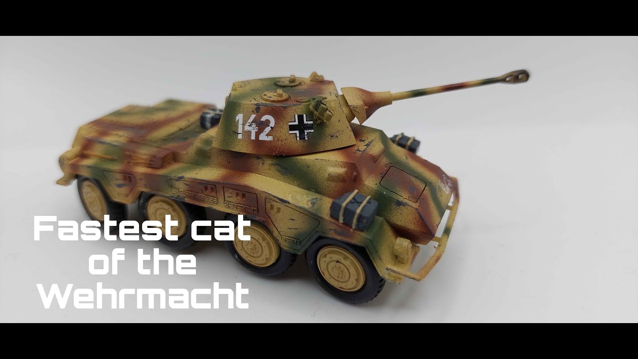 Revell 1/76 Puma full build