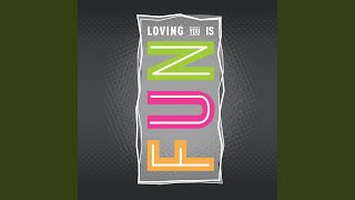 Loving You Is Fun