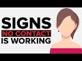 7 Psychological Signs The No Contact Rule Is Working