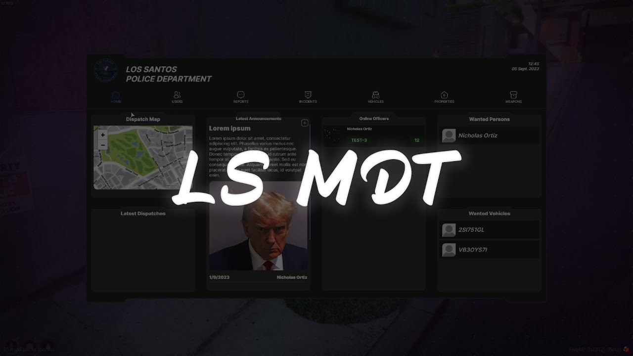 LS MDT