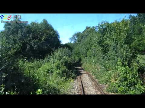 Prezentarea liniei 309 Oradea - Băile Felix - Cordău și a companiei TFC [HD]