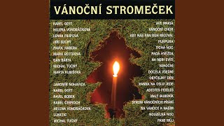 Vanocni (A Tree Too Weak To Stand)