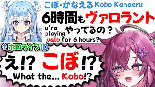 【ぶいすぽEN和訳】RIOTゲーム長時間プレイの疲労の中、こぼ・かなえるがコメントに現れて驚くジュノ【梅園ジュノ/こぼかなえる/Kobo Kanaeru/ぶいすぽ切り抜き/ホロライブID】