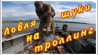 Рыбалка на верхней волге ловля рыбы в марий эл