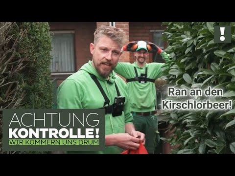 Die SYMPATHISCHEN Gärtner kommen ✂️ Der Kampf mit dem KIRSCHLORBEER!  | Achtung Kontrolle