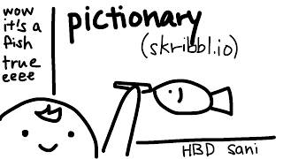 sani pictionary