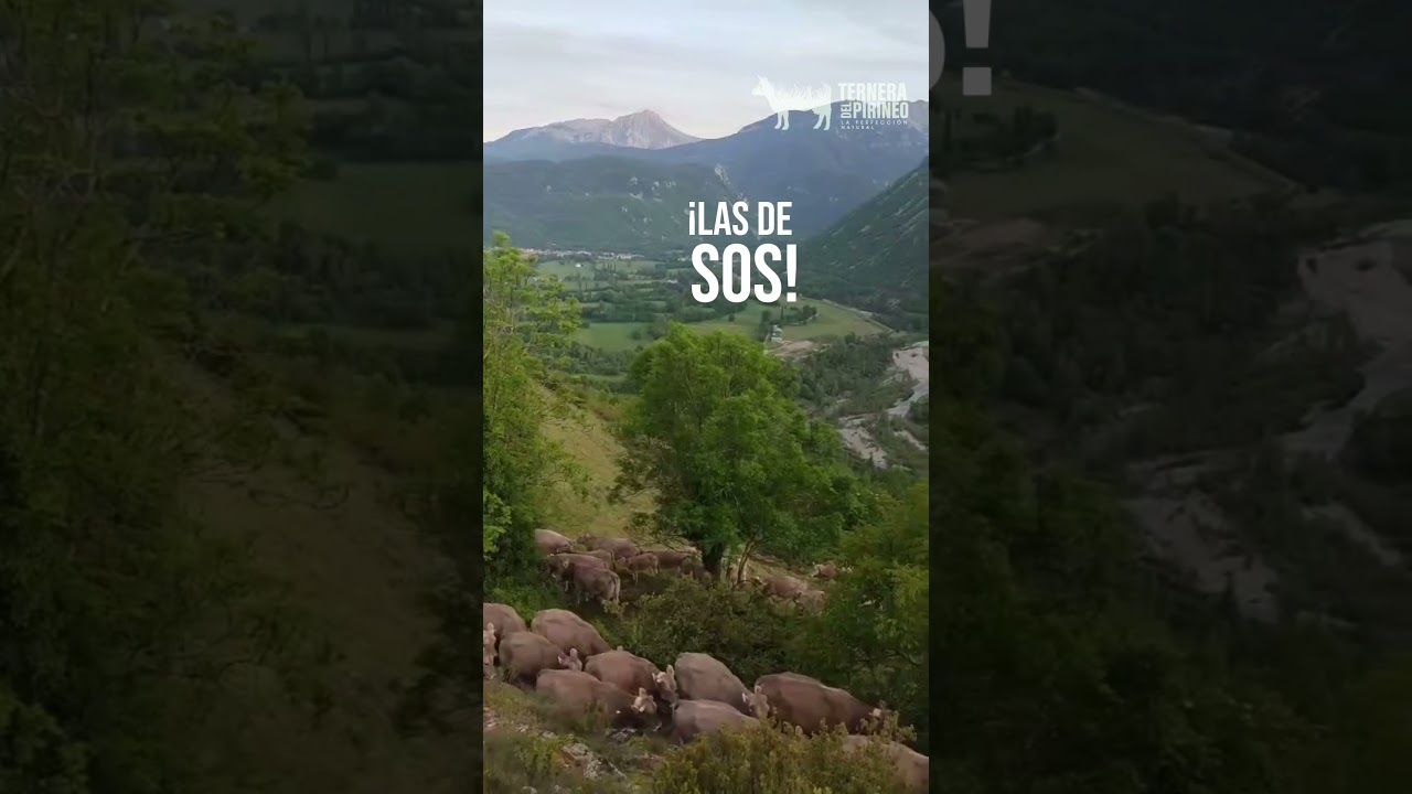 Mayo 2026 - ¡Nos vamos pal monte!