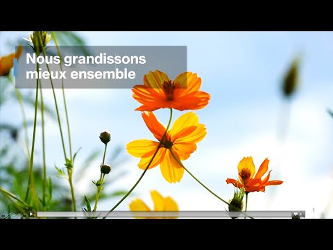 Renoncer à se rebeller contre le système! (18)