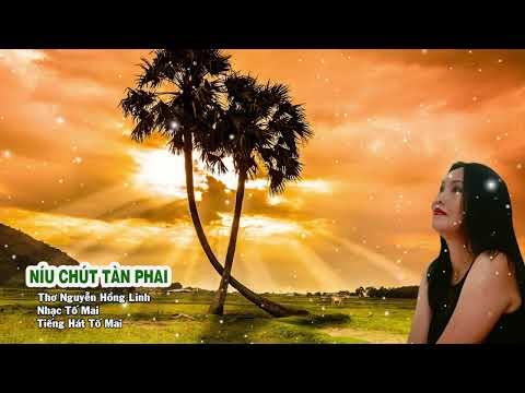 Níu chút tàn phai - Tố Mai