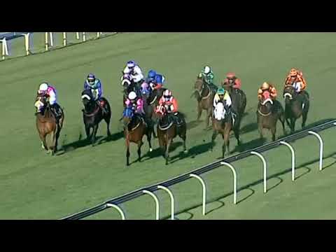 BATTLE FORCE - Turffontein 3/4/21