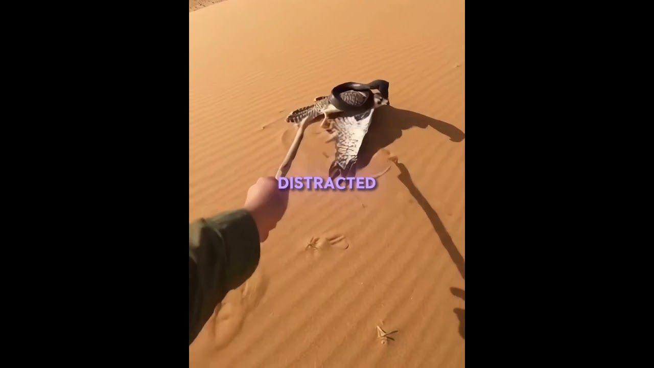 His Kindness Returned..🧡🐪