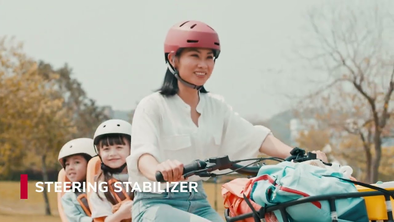 Cargo électrique  PAKYAK E+