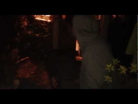 The Koves - Codeine (Garden Session)