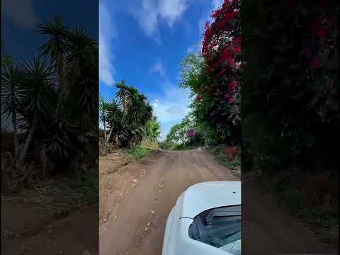 El Tuma - La Dalia, Matagalpa