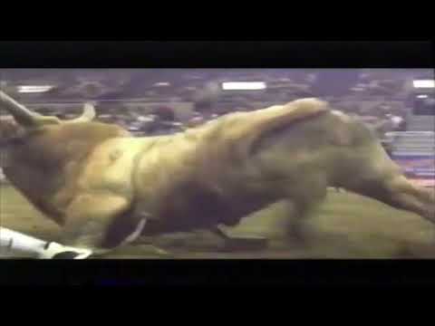 Rogerio Ferreira vs Tigger Too - 04 PBR Bismarck (86.5 pts)