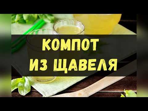 Компот Из Щавеля / Книга Рецептов / Bon Appetit