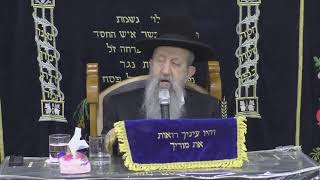 שבע הפטרות הנחמה נחמת הקב''ה לעם ישראל סודאי מנחם אב תשפג