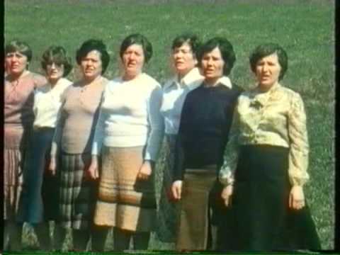 Donji Desinec,zbor 70-tih