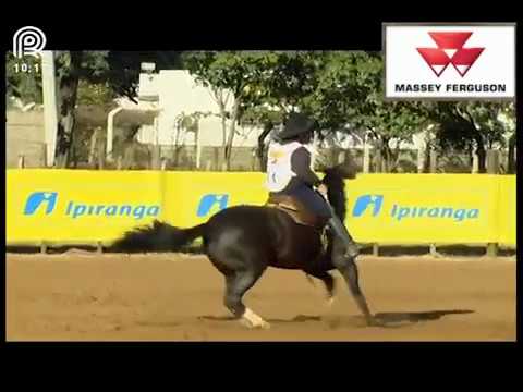 Classificatória Região Norte – 2° lugar fêmeas – Malla Oro da Reconquista  (Prova: Bayard/Sarmento)