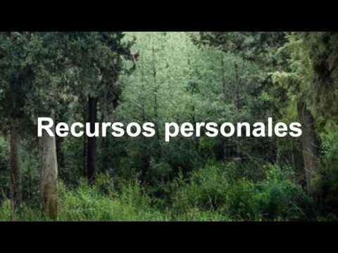 El gusanito de colores - CUENTOS DE SUPERACIÓN PERSONAL