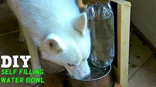 DIY Self Filling Water Bowl for Your Dog