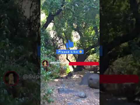 Santiago, CHILE ☀️ Santuario de la Naturaleza | Verano 2026 🚣🏻‍♀️