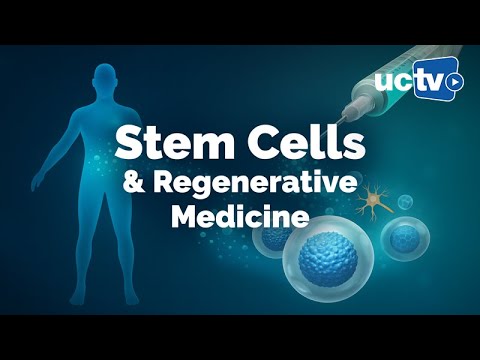 Stem Cells and Next Generation Regenerative Medicine Therapies
