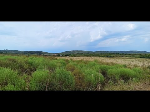 6 terrenos a la venta en Marco de Los Reyes - Vista