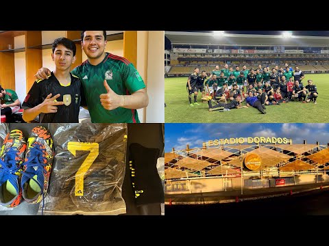 !!!I PLAYED IN A PROFESSIONAL STADIUM!!!/ I bought these toys for this…