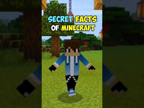 6 Secret Rapid Minecraft Facts No one knows (Hindi) Collaboration with 😄 The Crazy Shubham #sparky