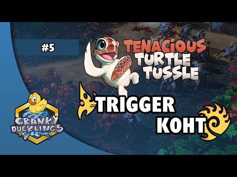 trigger vs Koht - PvZ | Tenacious Turtle Tussle #5 | Americas/OCE/Asia StarCraft 2 Tournament