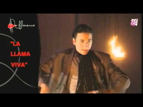 Rondeña. El Pipa. 2005