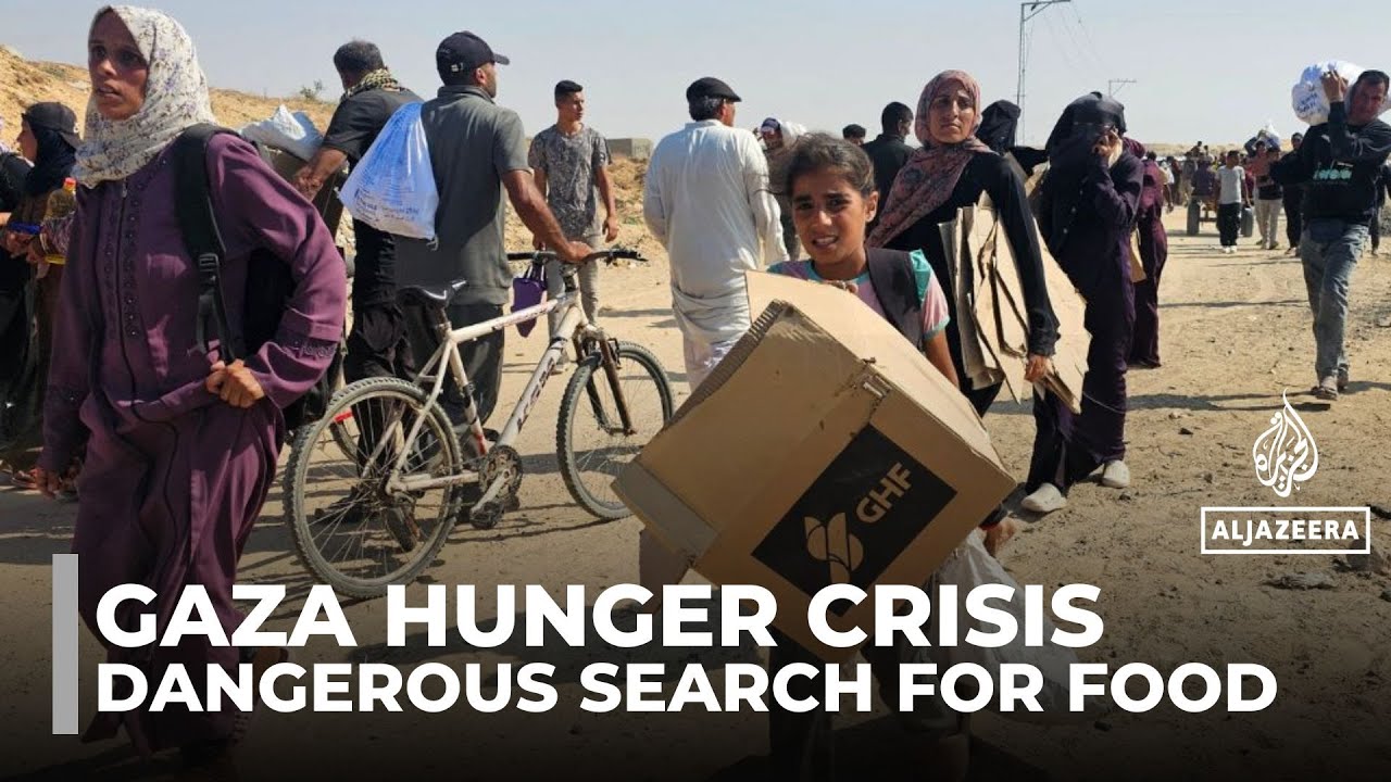 Northern Gaza's starving families queue all night for single meal amid aid collapse