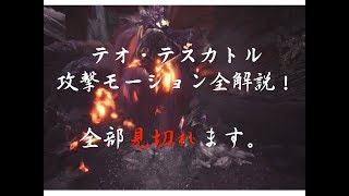 MHW　太刀！見切り斬り講座　＃３