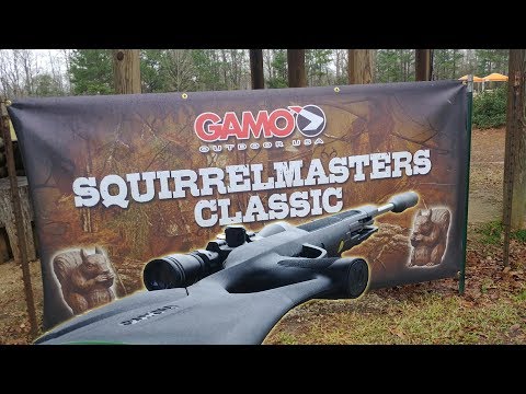 Gamo Squirrel Masters Classic 2019 - Sighting In the Swarm Magnum!