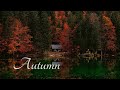 Autumn by a Lake Ambience (no music) - relaxing sounds of forest, birds and water